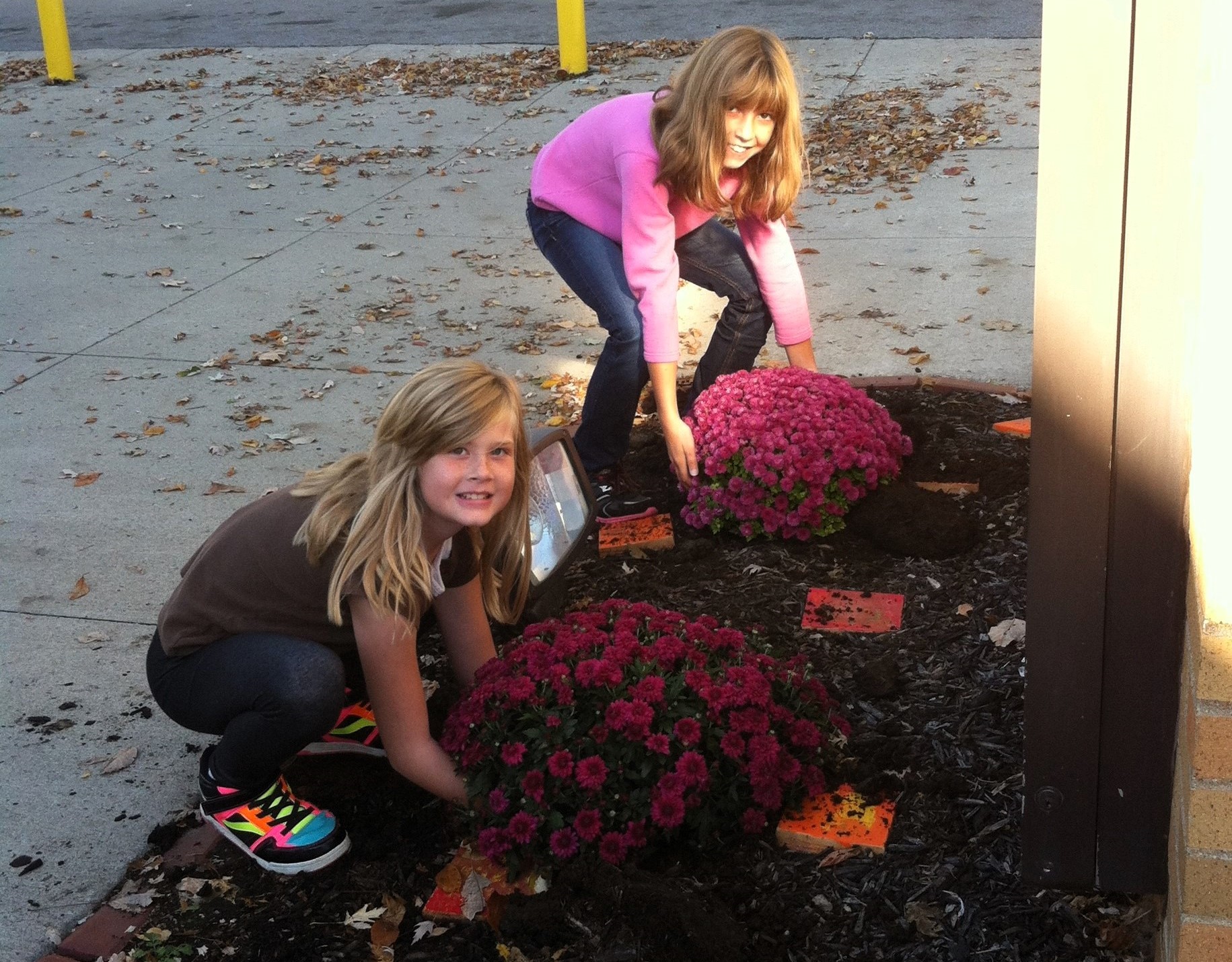 students planting flowers in the fall.