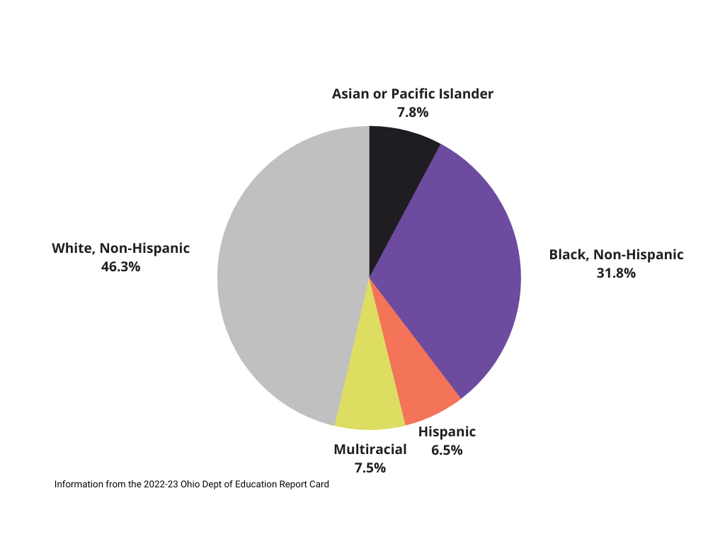 Pie chart illustrating the racial diversity of Pickerington Schools